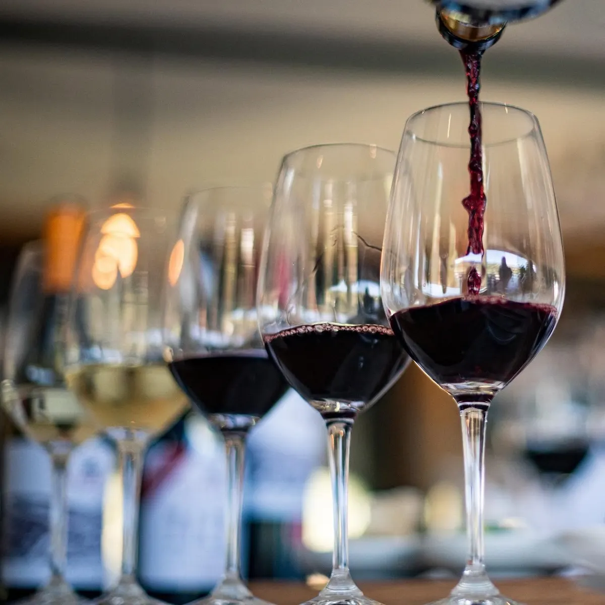 Glasses of red wine lined up at La Bodega